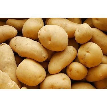 おすすめっ❗️ じゃがいも　5kg 71 ジャガイモ人気セットA（きたあかり5kg・男爵5kg）